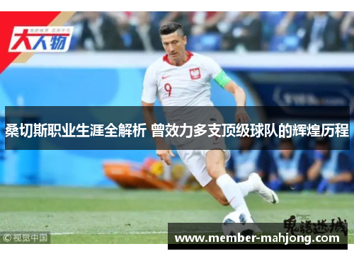 桑切斯职业生涯全解析 曾效力多支顶级球队的辉煌历程 桑切斯职业生涯全解析 曾效力多支顶级球队的辉煌历程