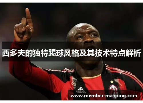 西多夫的独特踢球风格及其技术特点解析