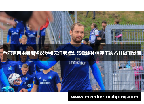 塞尔克自由身加盟汉堡引关注老牌劲旅锋线补强冲击德乙升级前受期