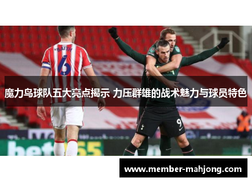 魔力鸟球队五大亮点揭示 力压群雄的战术魅力与球员特色 魔力鸟球队五大亮点揭示 力压群雄的战术魅力与球员特色